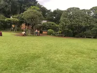 等々力渓谷の写真・動画_image_266903