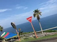 福岡市の写真・動画_image_266988