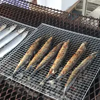 【閉業】ポピーの里 館山ファミリーパークの写真・動画_image_267029