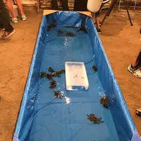 筥崎宮の写真・動画_image_267052