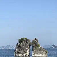 ハロン湾の写真・動画_image_267429