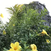 ハロン湾の写真・動画_image_267431