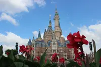 上海ディズニーランド（Shanghai Disneyland /  上海迪士尼乐园）の写真・動画_image_267846