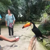 松江フォーゲルパークの写真・動画_image_267955