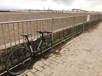 城南島海浜公園の写真・動画_image_268590