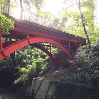 等々力渓谷の写真・動画_image_268676