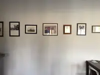 flamingoの写真・動画_image_268946