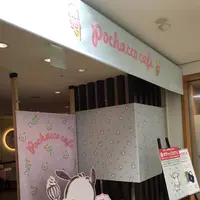 サンリオ 京急百貨店 5Fの写真・動画_image_269075