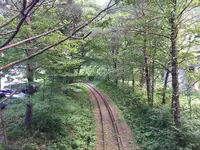 大館・小坂鉄道レールバイク（ＮＰＯ法人）の写真・動画_image_269136