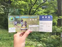 大館・小坂鉄道レールバイク（ＮＰＯ法人）の写真・動画_image_269138
