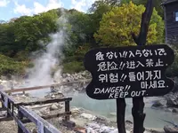 乳頭温泉郷の写真・動画_image_269285