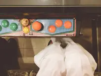 蒼苑の写真・動画_image_269467