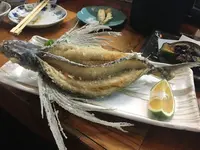 漁火の写真・動画_image_269473