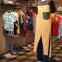OTOEの写真・動画_image_270324