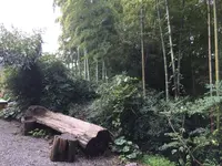 亭ノ元の写真・動画_image_271094