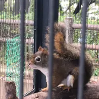 夢見ケ崎動物公園の写真・動画_image_272221