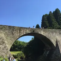通潤橋の写真・動画_image_272257