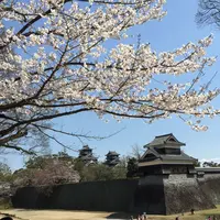 熊本城の写真・動画_image_272264