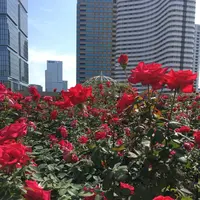 ホテルニューオータニパティスリーＳＡＴＳＵＫＩの写真・動画_image_272698