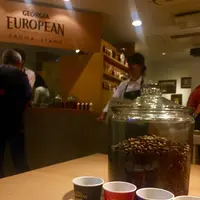 渋谷駅の写真・動画_image_273114