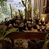 Buriki no Zyoro (ブリキのジョーロ)の写真・動画_image_273587