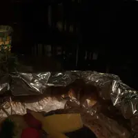 ラヴィの写真・動画_image_273734