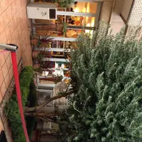 ドンレミーアウトレット北千住店の写真・動画_image_273997