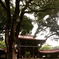 明治神宮の写真・動画_image_274334