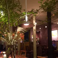 カフェマメヒコ 三軒茶屋本店（CAFE Mame-Hico）の写真・動画_image_274908