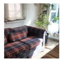 Cafe NAVYの写真・動画_image_275258