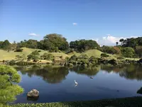 水前寺成趣園の写真・動画_image_275702