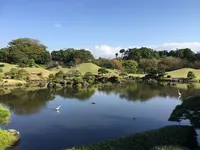 水前寺成趣園の写真・動画_image_275703