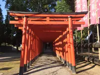 水前寺成趣園の写真・動画_image_275709