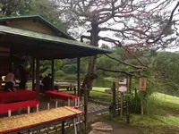 六義園の写真・動画_image_275727