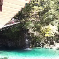 いわなの里峡の写真・動画_image_276079
