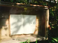 喫茶ミンカの写真・動画_image_276653