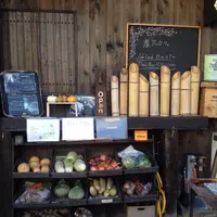 農民カフェの写真・動画_image_276939