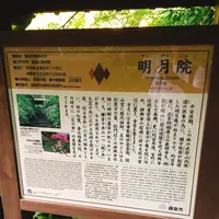 明月院（あじさい寺）の写真・動画_image_276970