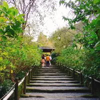 明月院（あじさい寺）の写真・動画_image_276973