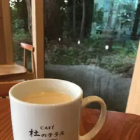 杜のテラスの写真・動画_image_277066