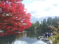 金鱗湖の写真・動画_image_277269