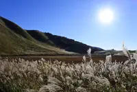 曽爾高原の写真・動画_image_277303