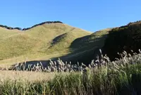 曽爾高原の写真・動画_image_277304