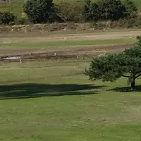 江戸川ラインゴルフ 松戸コースの写真・動画_image_277600