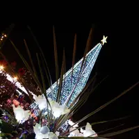 あしかがフラワーパークの写真・動画_image_277810