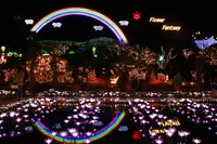 あしかがフラワーパークの写真・動画_image_277811