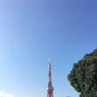 クリスプサラダワークス（CRISP SALAD WORKS） 麻布十番店の写真・動画_image_278353