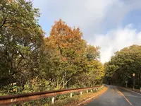 休暇村蒜山高原の写真・動画_image_278450