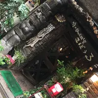 さぼうるの写真・動画_image_279022