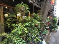 さぼうるの写真・動画_image_279023